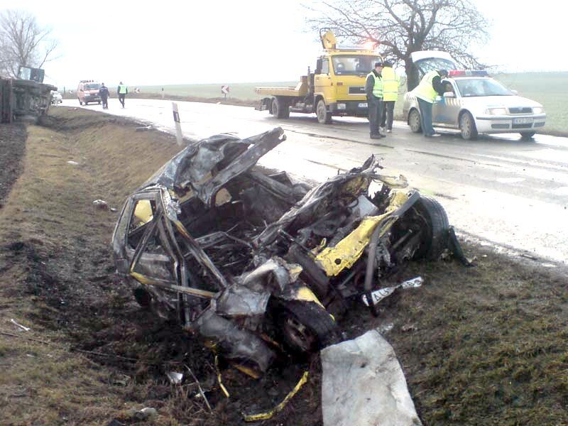 Taxi a kutyának - állati kényelem házhoz jön